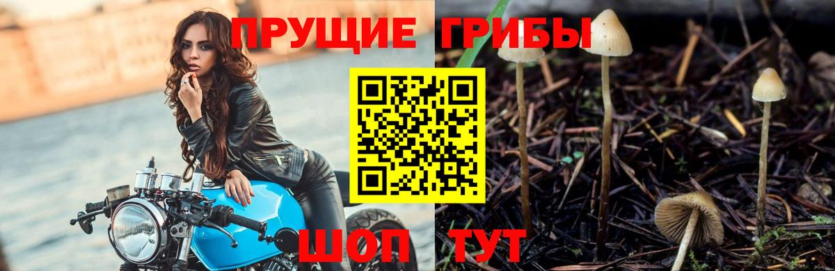 Галлюциногенные грибы мицелий Нефтекамск